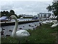 The Round "O" Quay, Enniskillen