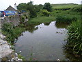 Duckpond at Lulworth Cove