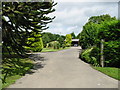 Driveway and gardens of Reynold