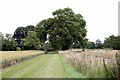 Suffolk Countryside