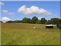 Pasture with barn, Radnage