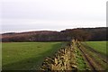 Dry stone wall field boundary