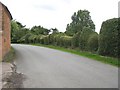 Ornamental Yew Hedge, Longslow