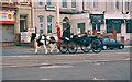 Horse-drawn carriage, North Shore