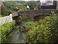 Pack horse bridge Allerford