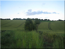 ST9833 : Farmland near Teffont Down 2 by Andy Gryce