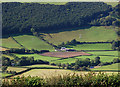 Farmland, Vale of Rheidol