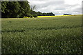 Arable land near Blockley