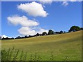 Hillside below Bledlow Ridge