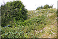 Uncut vegetation for wildlife, Friern Park Trading Estate