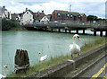 Island Bridge, Newhaven