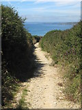 SW6423 : The path to the beach by Rod Allday