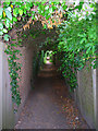 Footpath to Ferringham Lane