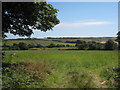 Pasture at Trewennack