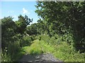 The end of the track from Ysgubor Fawr