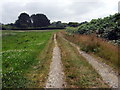 Footpath approaching Llanon