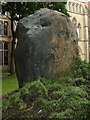 Glacial erratic at University of Manchester