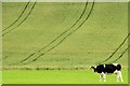 J1441 : Farming scenes near Loughbrickland (2) by Albert Bridge