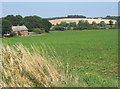 Countryside south of Newbourne with large field of clover