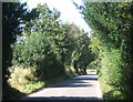 Newbourn Road towards Martlesham