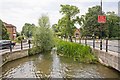 Stream between Riverside and Montague Road