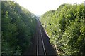 Railway cutting, Frampton