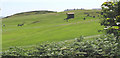 The Holyhead Golf Course, Trearddur Bay