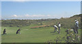 Golfers playing at the Holyhead Golf Course