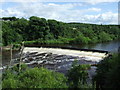 Weir on the River Clyde