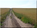 Bridlepath from Lambley to Burton Joyce