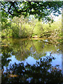 Slaugham Mill Pond