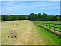 Hay Bales near Old Park Farm