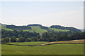 Breconside Woods from Hunterheck