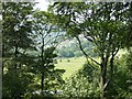 View through the trees towards Huthwaite