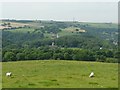 Crossing the sheep field - view to Greenmoor