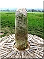 N9159 : "Stone of Destiny", at Tara by sarah gallagher