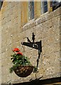 Hanging Basket with a story