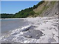 West from Bull Cliff rocks at high tide