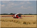 SU9477 : Spraying oats near Boveney Lock by David Hawgood