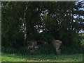 Derelict outhouse near Doddington Northmoor