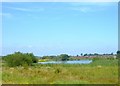 Doxey Marshes Nature Reserve, Stafford