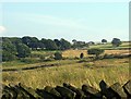 Farmland on Meltham Moor