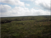 NH6119 : Looking east across grouse moor by Sarah McGuire