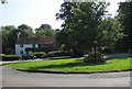 Millennium Oak, village green