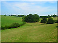 Wealden Landscape near Comphurst