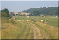 Footpath by Moat Farm