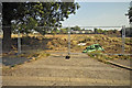 Site Clearance on Maltkiln Lane