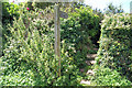 Footpath to Zennor