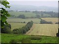 Valley west of Llanfair Caereinion