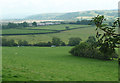 Pasture by the Teifi, Tregaron, Ceredigion